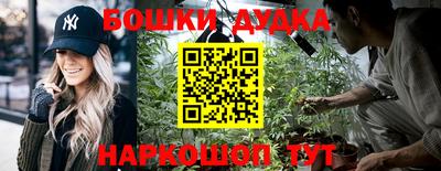 стафф Гудермес