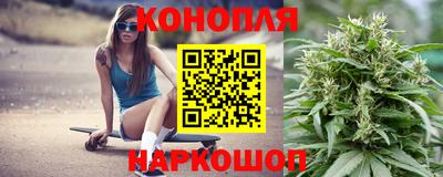стафф Гудермес