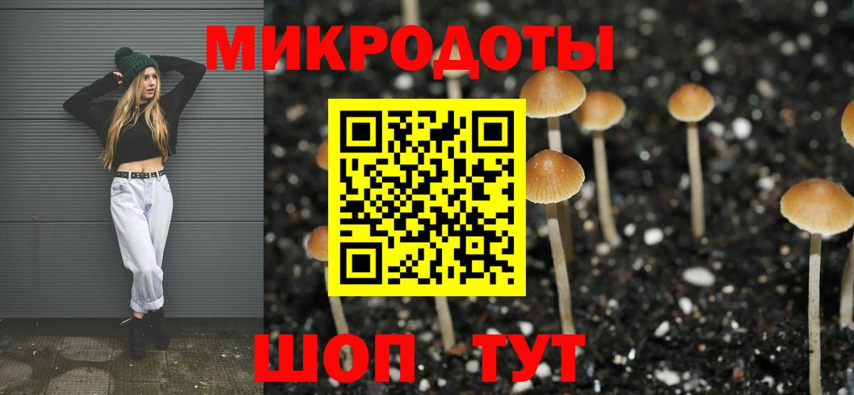 Псилоцибиновые грибы прущие грибы  Псилоцибиновые грибы прущие грибы  купить закладку  Железногорск  Вход с VPN 